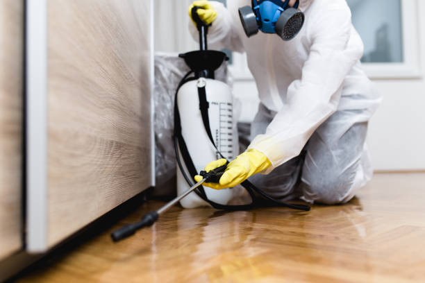Best Pest Prevention Services  in Bradford, PA