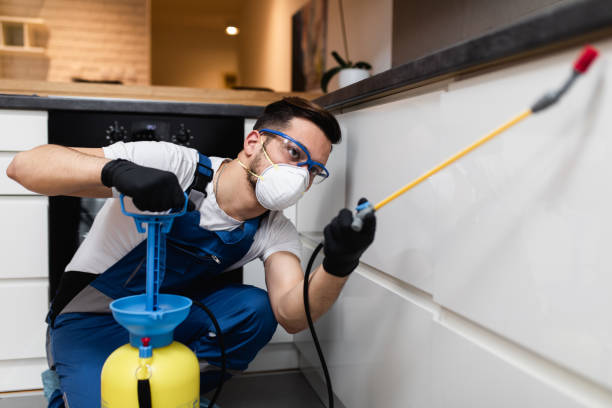 Flea Control Services in Bradford, PA