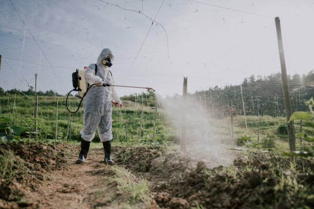 Best Affordable Pest Control Services  in Bradford, PA