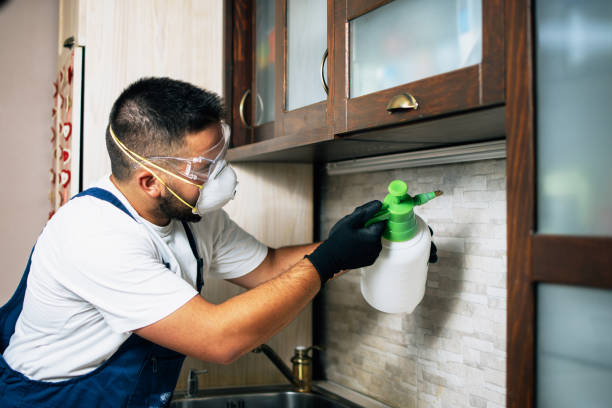 Best Wasp Removal Services  in Bradford, PA