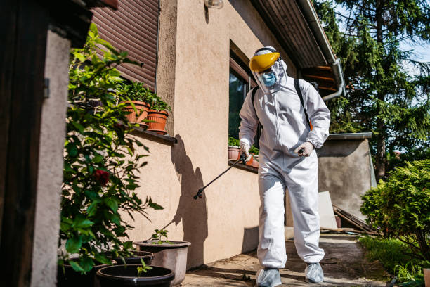 Best Pest Inspection Near Me  in Bradford, PA