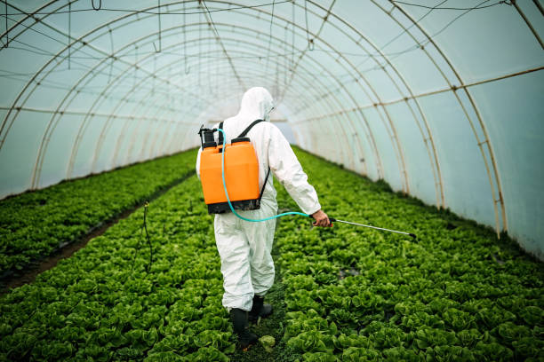 Best Local Pest Control Services  in Bradford, PA