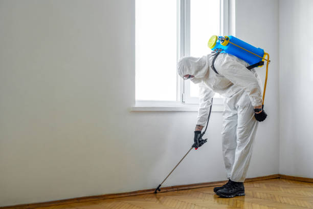 Best Exterminator Services  in Bradford, PA