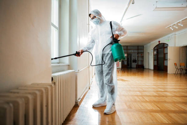 Wasp Removal Services in Bradford, PA